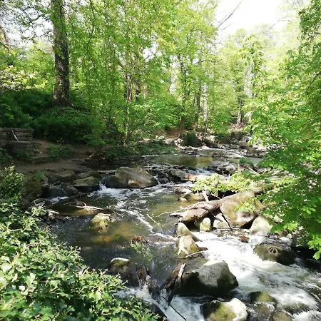 Eifelpause Apartment